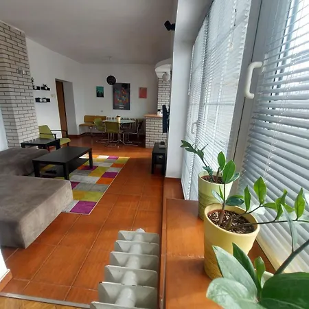 Apartman Sunny And In The Heart Of