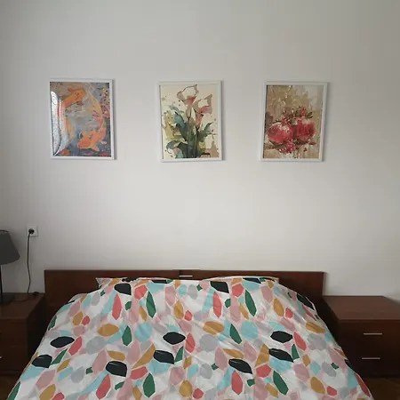 Sunny And In The Heart Of Apartman Szkopje